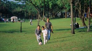 A group of people walking across a lush green park